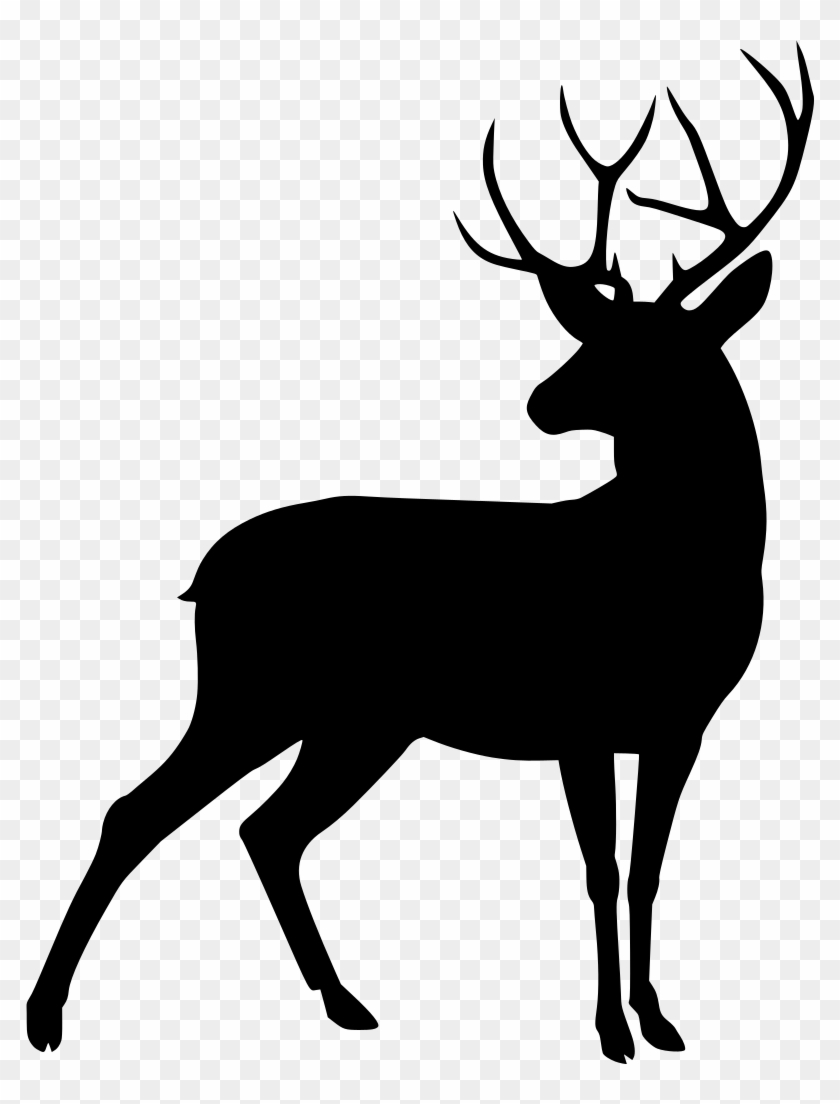 Detail Transparent Deer Nomer 27