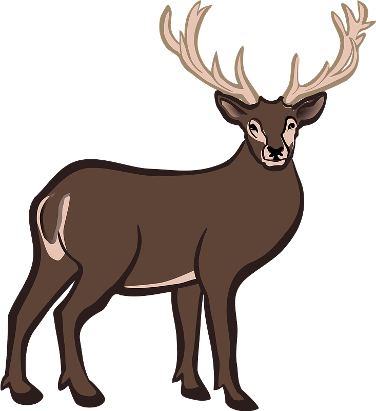 Detail Transparent Deer Nomer 28