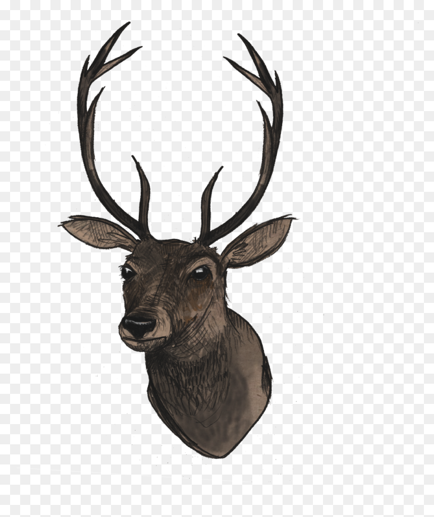 Detail Transparent Deer Nomer 36