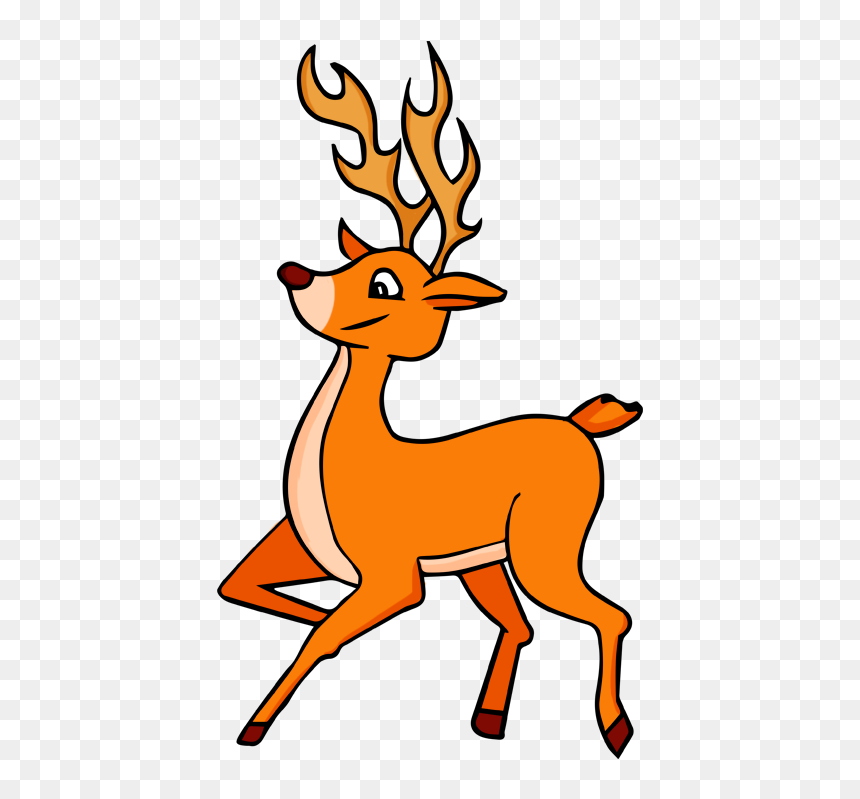 Detail Transparent Deer Nomer 42