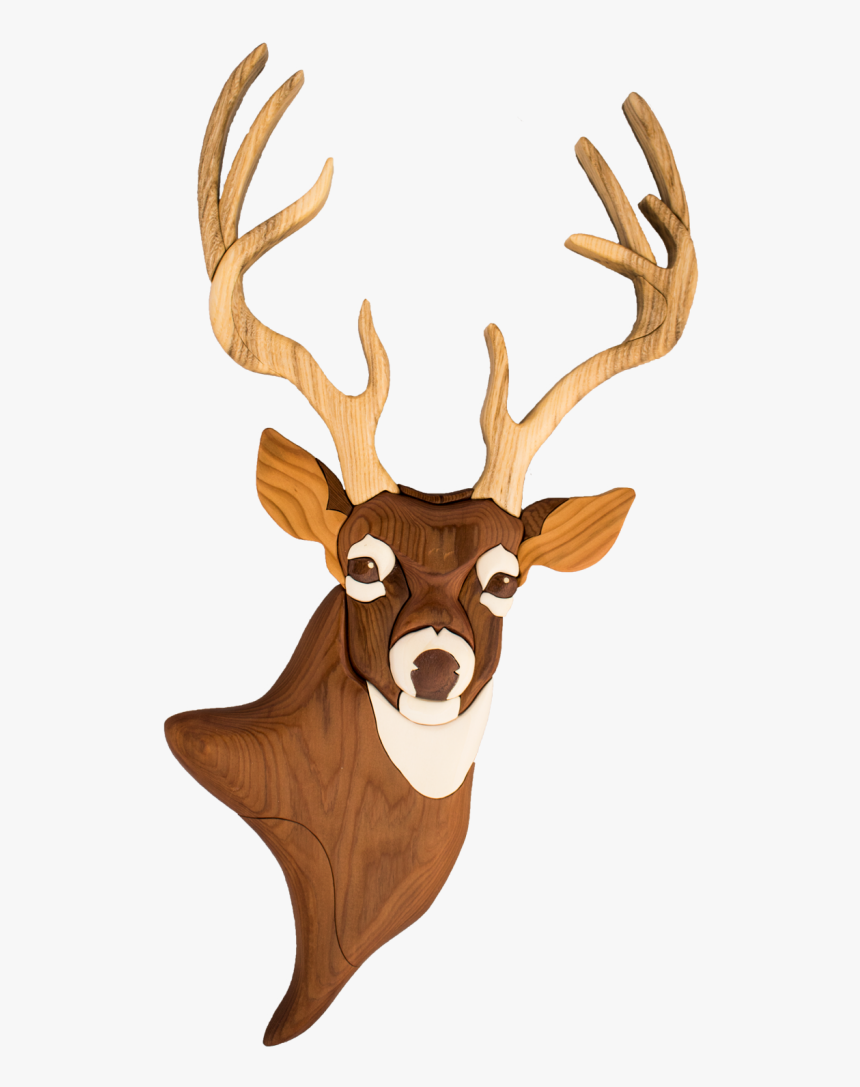 Detail Transparent Deer Nomer 43