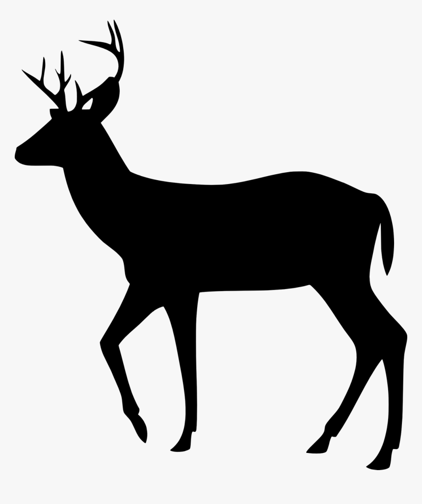 Detail Transparent Deer Nomer 44