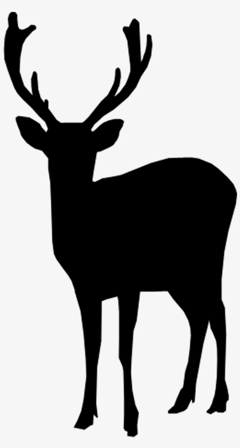 Detail Transparent Deer Nomer 47