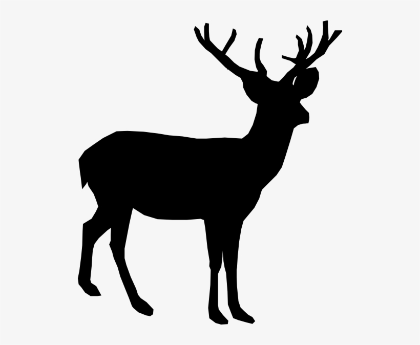 Detail Transparent Deer Nomer 48