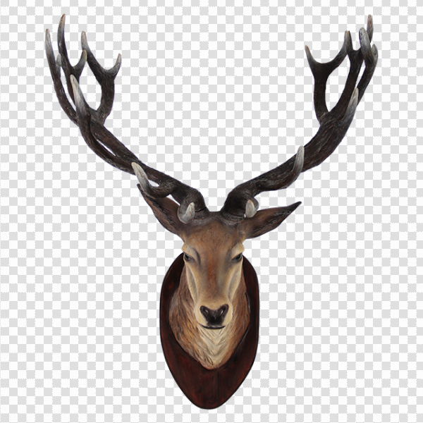 Detail Transparent Deer Nomer 49