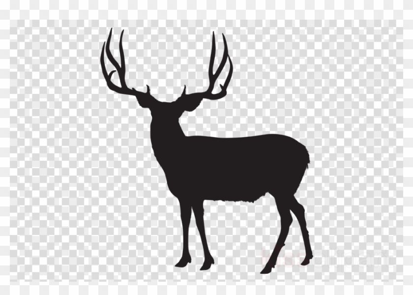 Detail Transparent Deer Nomer 50