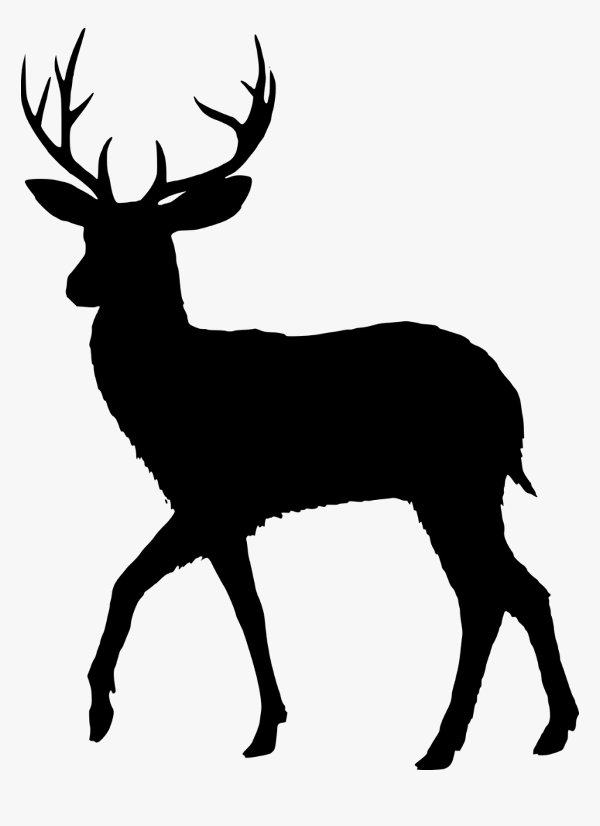 Detail Transparent Deer Nomer 52