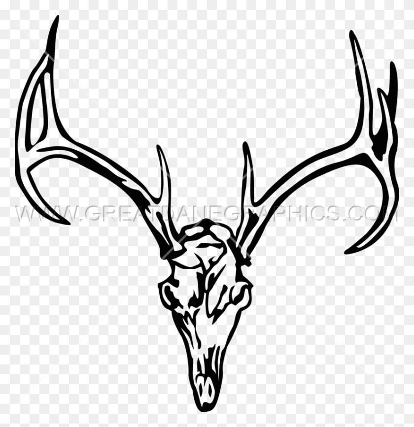 Detail Transparent Deer Skull Clipart Nomer 4