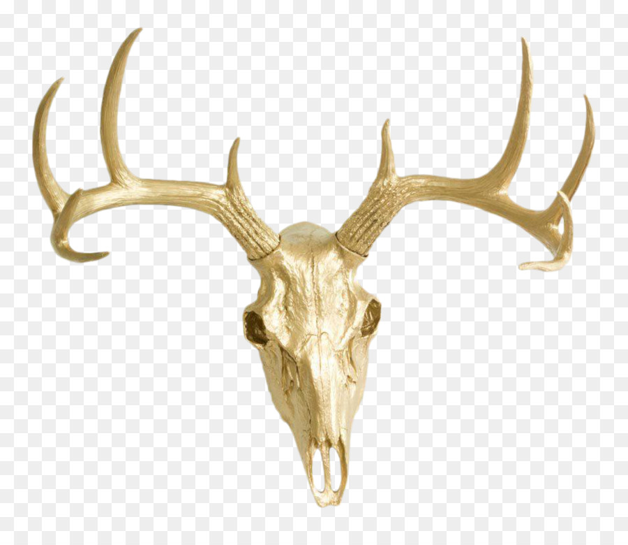 Detail Transparent Deer Skull Clipart Nomer 28