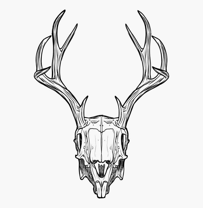 Detail Transparent Deer Skull Clipart Nomer 44