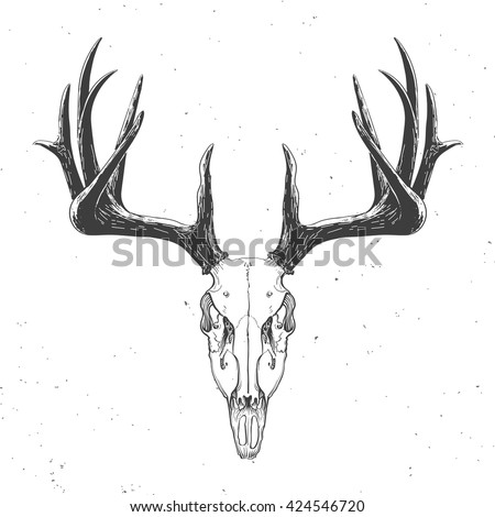 Detail Transparent Deer Skull Clipart Nomer 48
