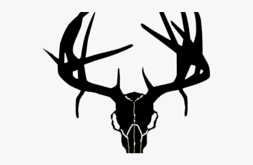 Detail Transparent Deer Skull Clipart Nomer 6