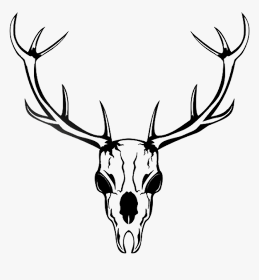 Detail Transparent Deer Skull Clipart Nomer 8