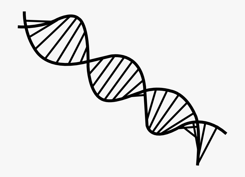 Transparent Dna - KibrisPDR