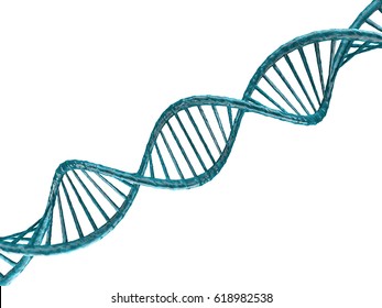 Detail Transparent Dna Nomer 2