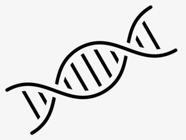 Download Transparent Dna Nomer 23