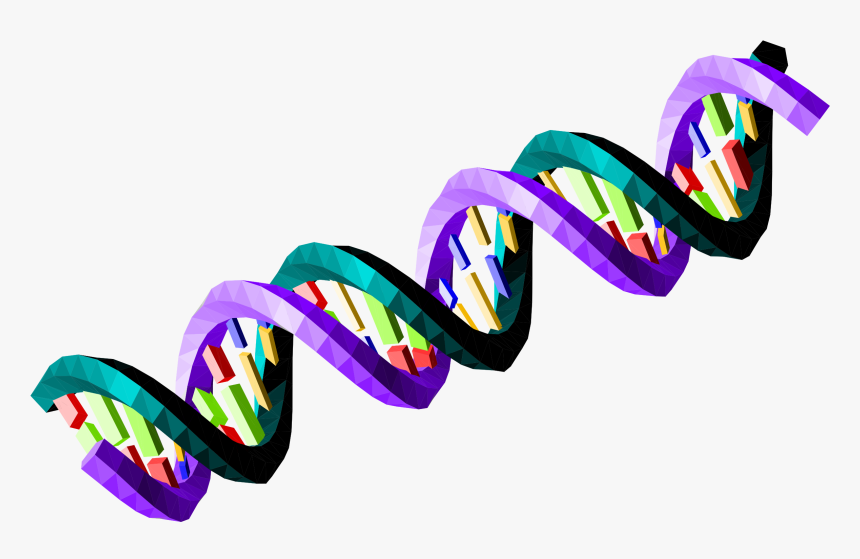 Detail Transparent Dna Nomer 39