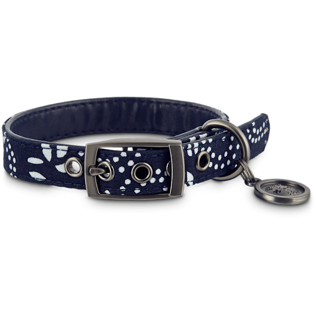 Detail Transparent Dog Collar Nomer 20