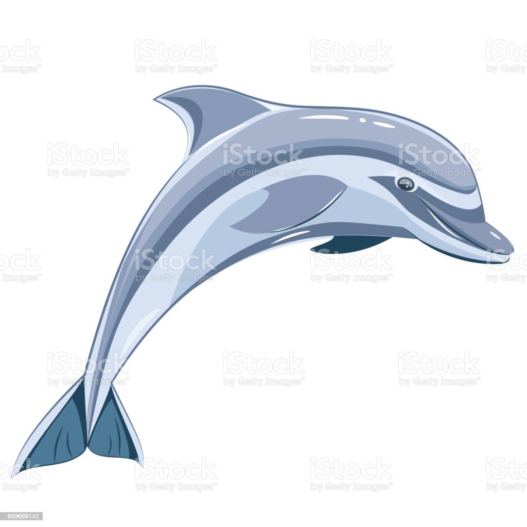 Detail Transparent Dolphin Nomer 17