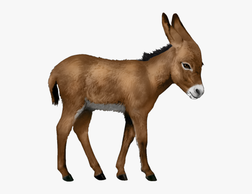 Download Transparent Donkey Nomer 21