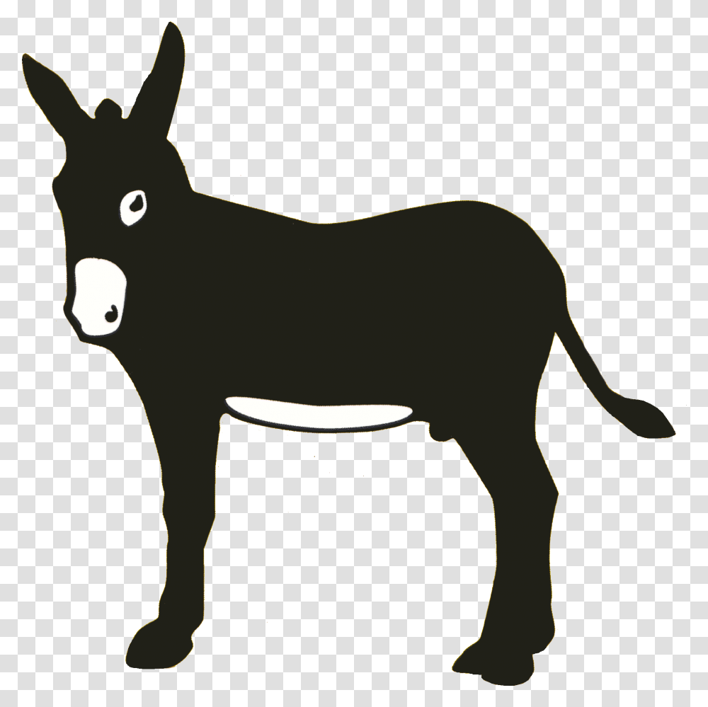 Detail Transparent Donkey Nomer 44