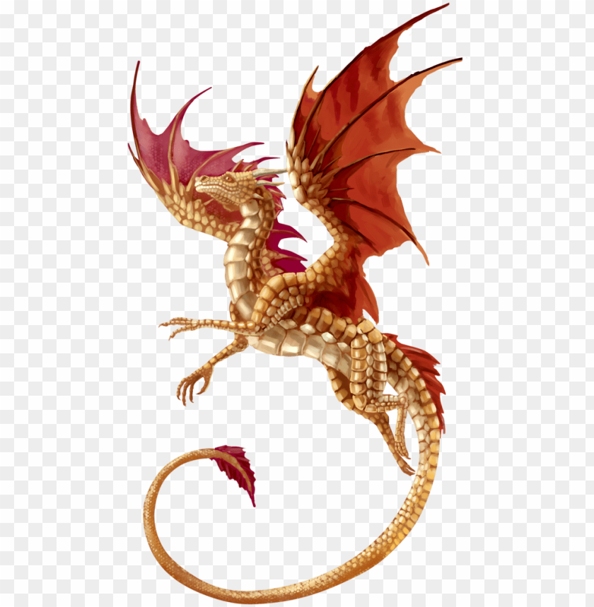 Detail Transparent Dragon Nomer 10
