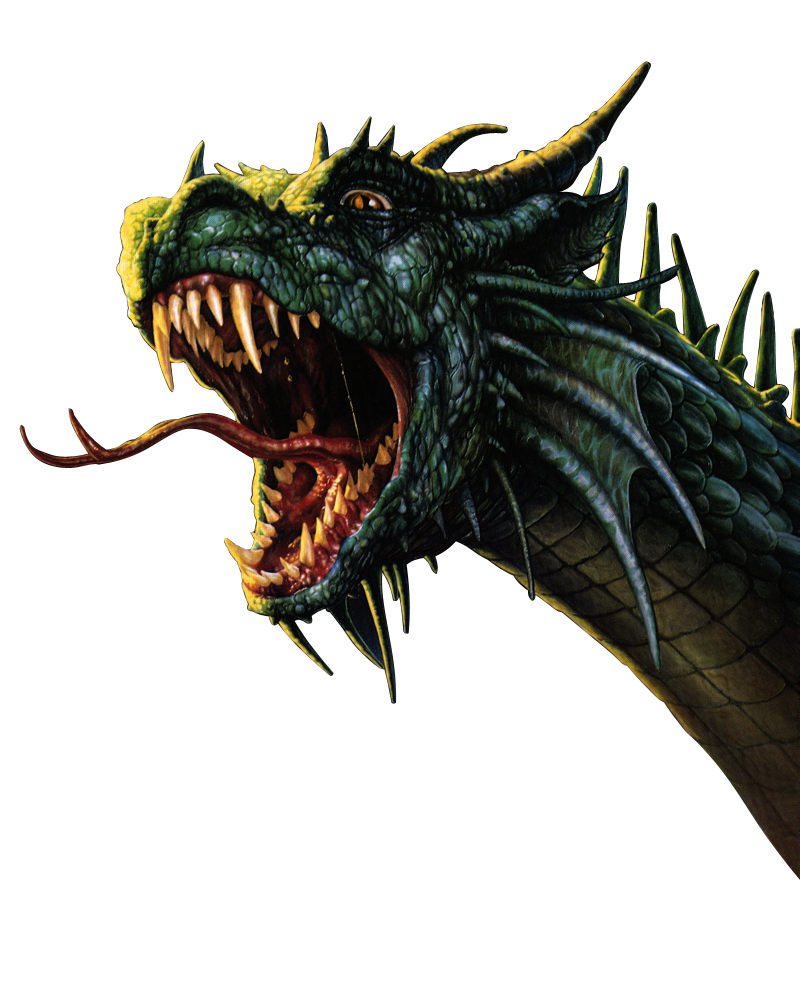 Detail Transparent Dragon Nomer 33