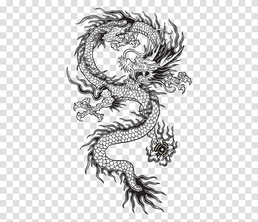 Detail Transparent Dragon Nomer 40