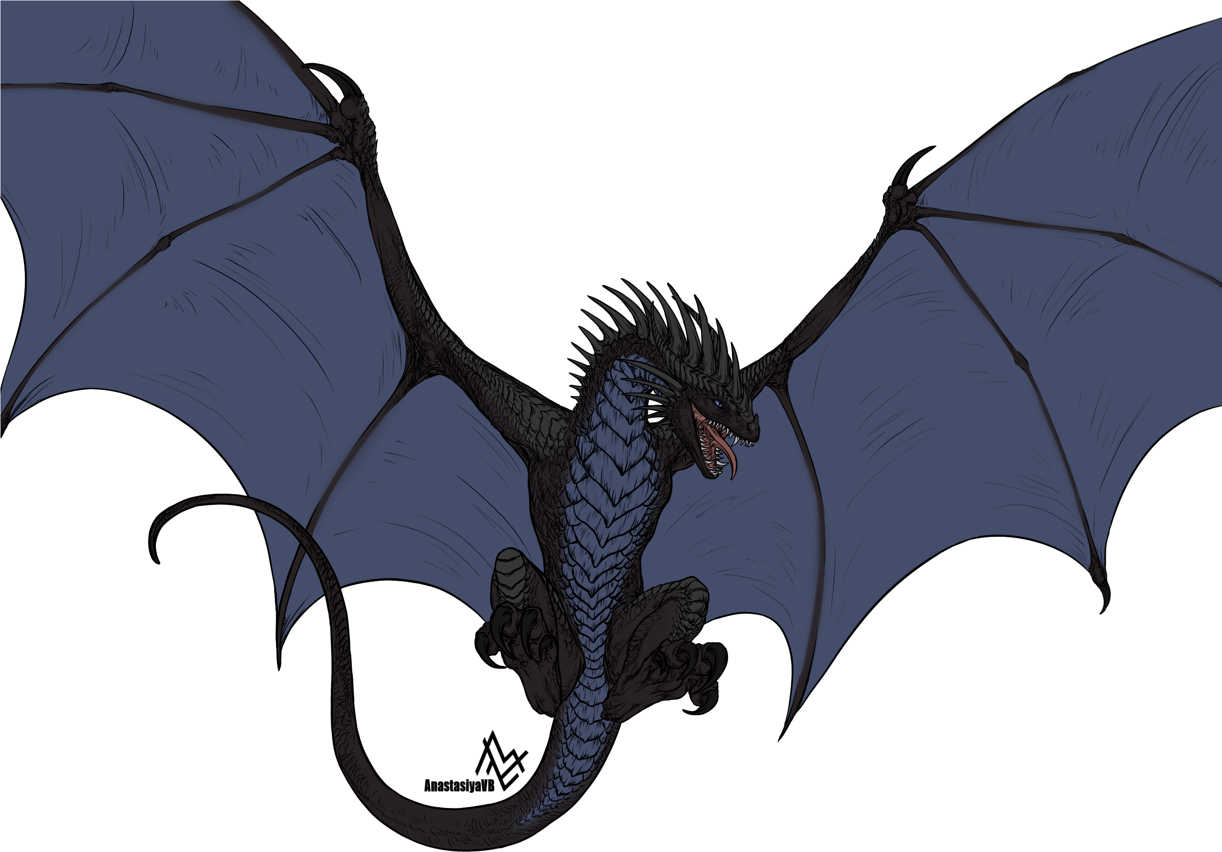 Detail Transparent Dragon Nomer 41