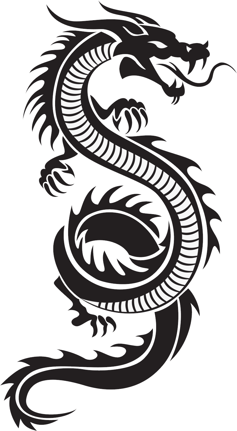 Detail Transparent Dragon Nomer 43