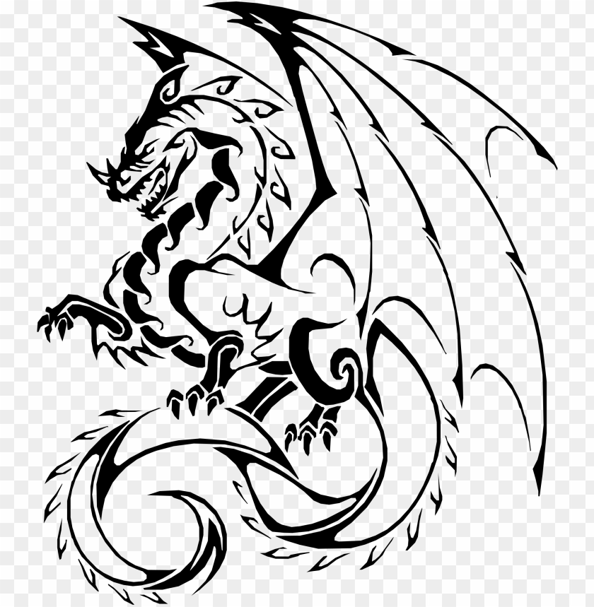 Detail Transparent Dragon Nomer 45