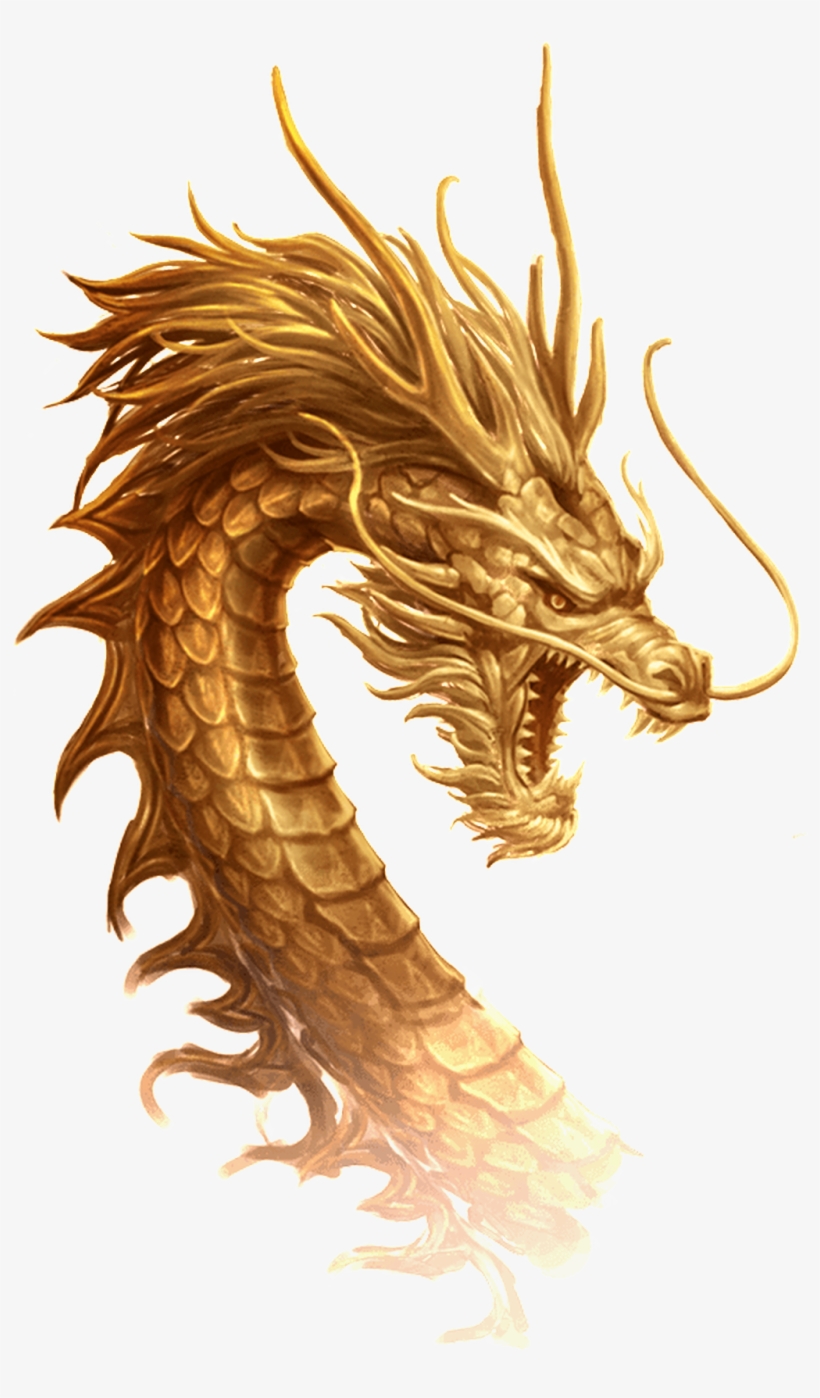 Detail Transparent Dragon Nomer 46