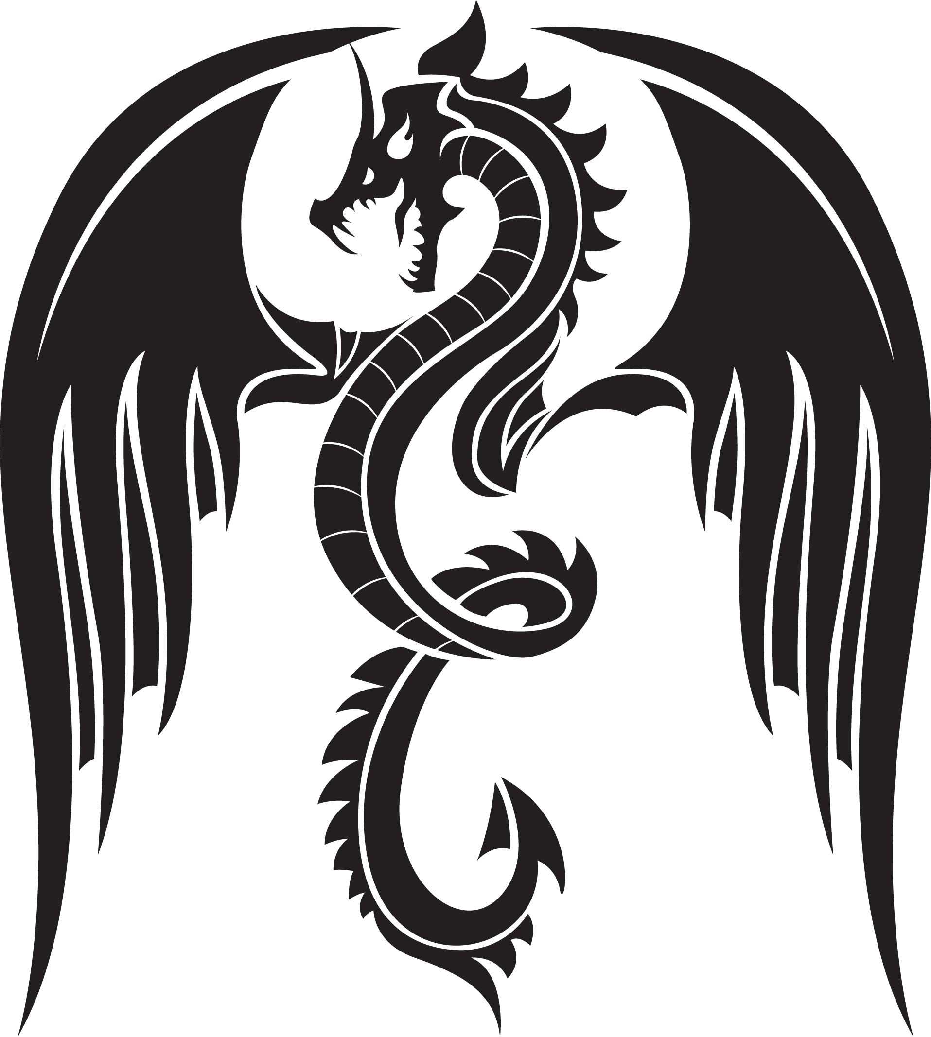 Detail Transparent Dragon Nomer 48