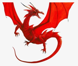 Detail Transparent Dragon Nomer 49
