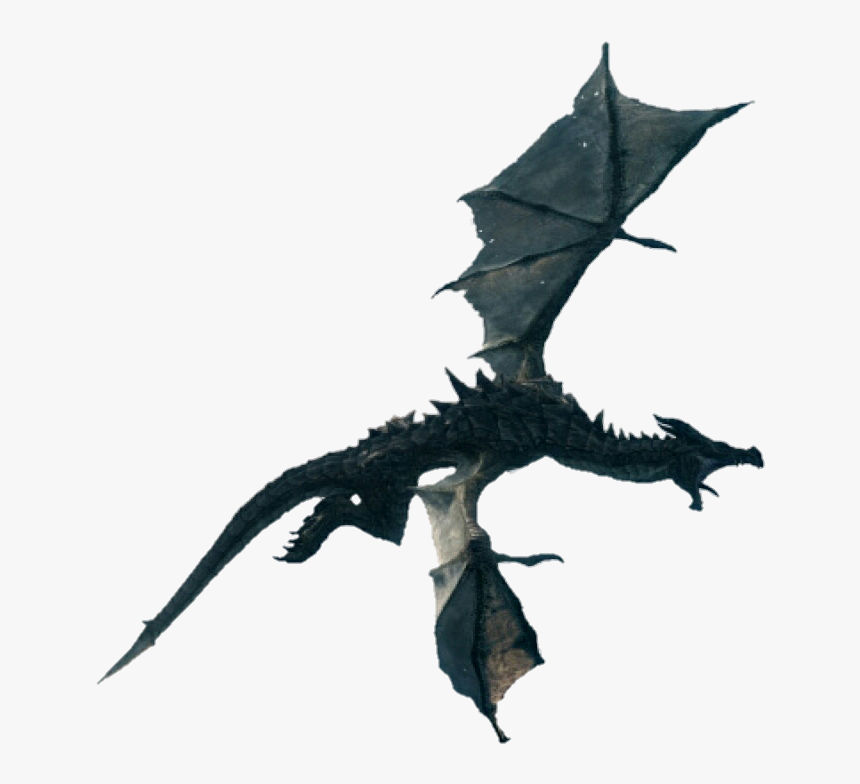 Detail Transparent Dragon Image Nomer 19