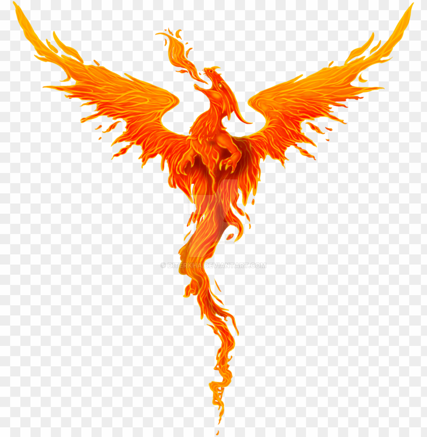 Detail Transparent Dragon Image Nomer 29