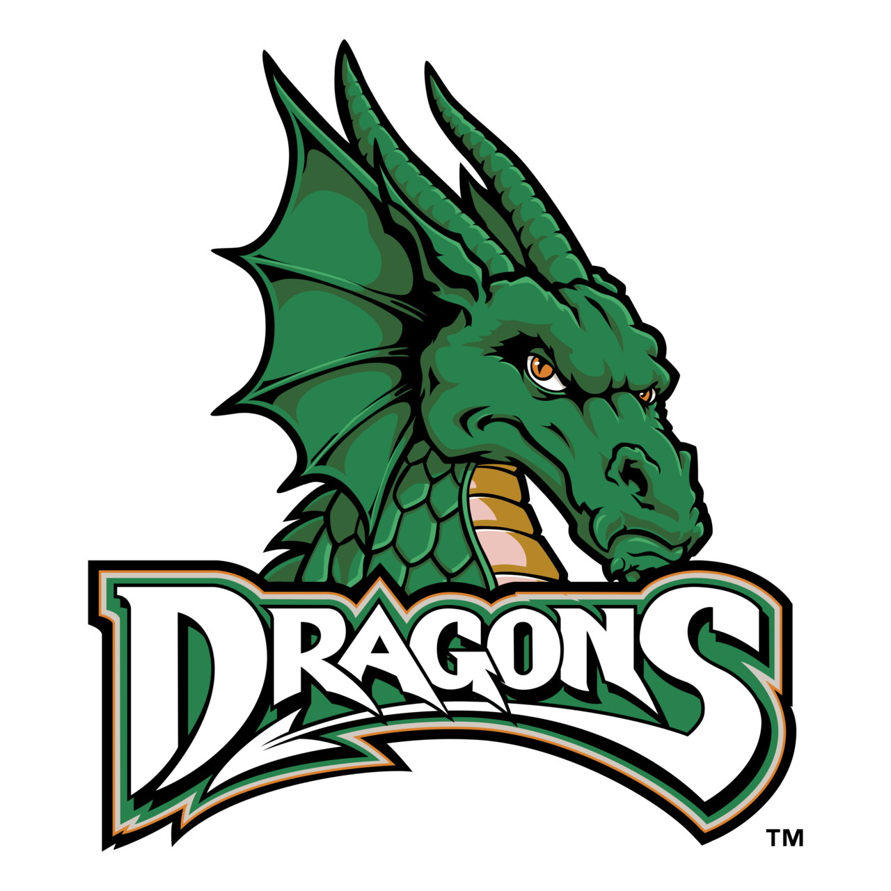 Detail Transparent Dragon Logo Nomer 12