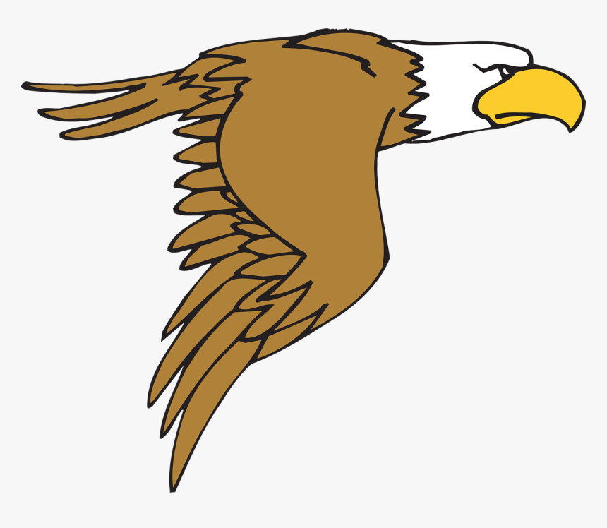 Detail Transparent Eagle Nomer 45