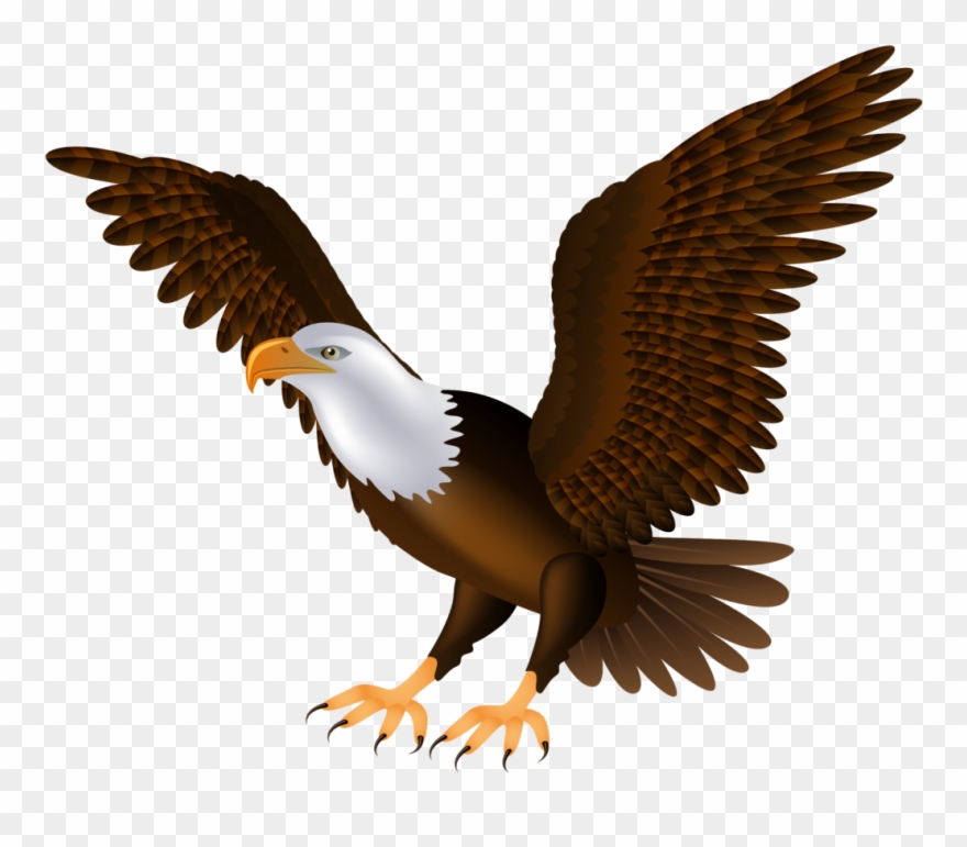 Detail Transparent Eagle Clipart Nomer 2