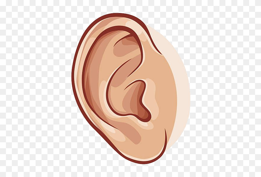 Detail Transparent Ear Nomer 16
