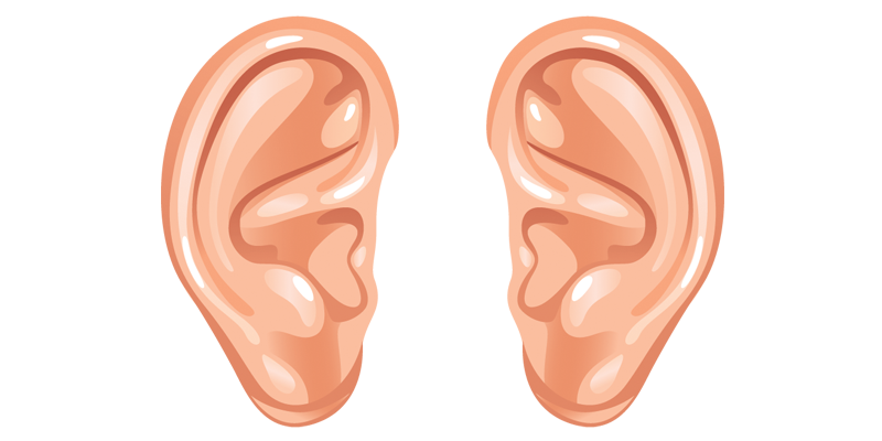 Detail Transparent Ear Nomer 2