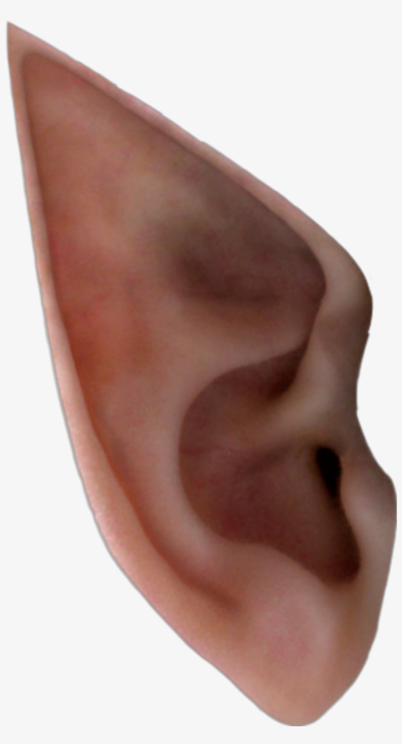 Detail Transparent Ear Nomer 27