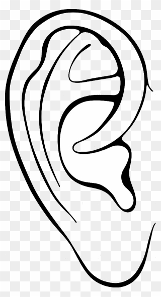 Detail Transparent Ear Nomer 37