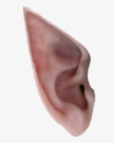 Detail Transparent Ear Nomer 38
