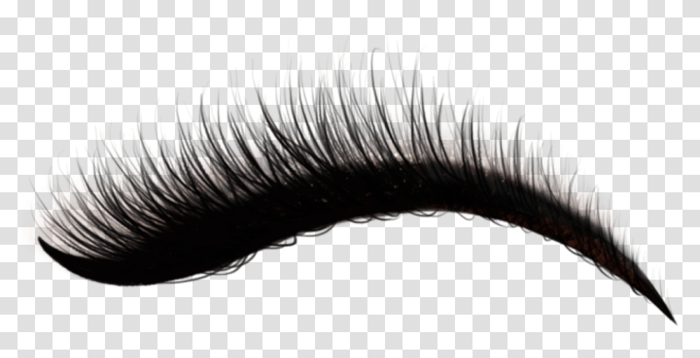 Detail Transparent Eyelashes Nomer 27