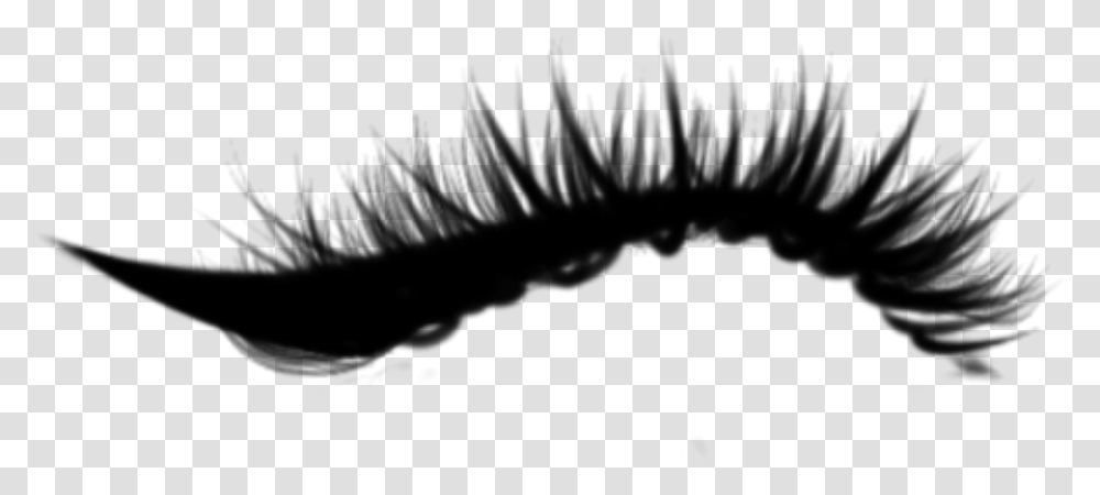 Detail Transparent Eyelashes Nomer 32