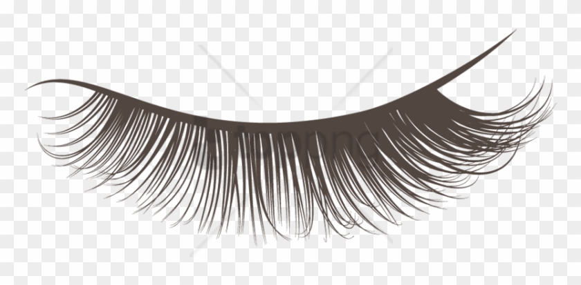 Detail Transparent Eyelashes Nomer 45