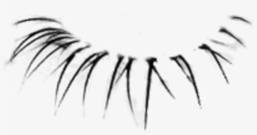Detail Transparent Eyelashes Nomer 48