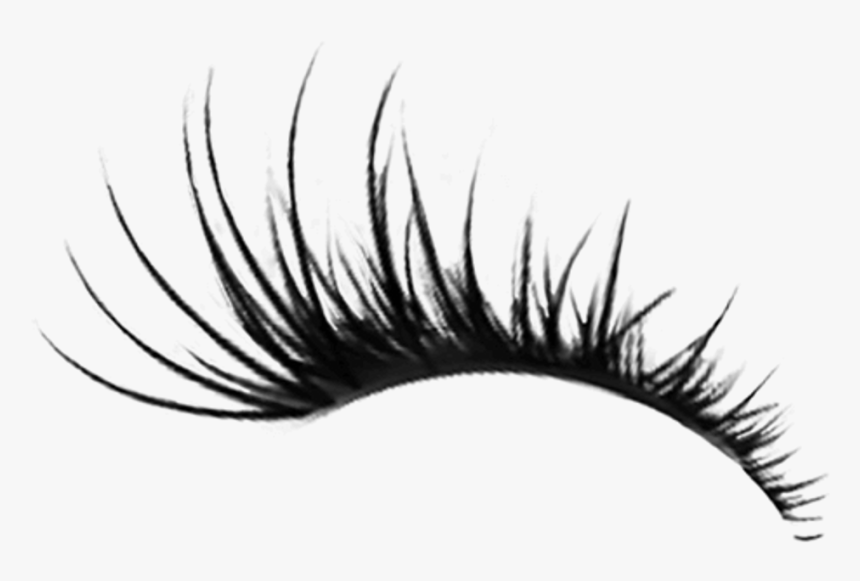 Detail Transparent Eyelashes Nomer 7