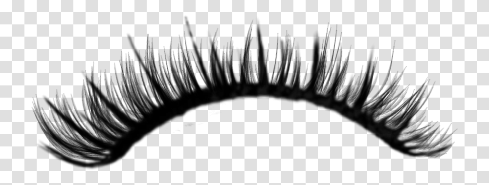 Detail Transparent Eyelashes Nomer 9